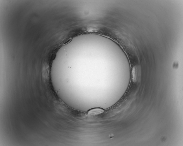 X0000102371443200808151824