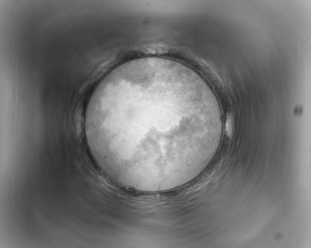 X0000102371444200808151824