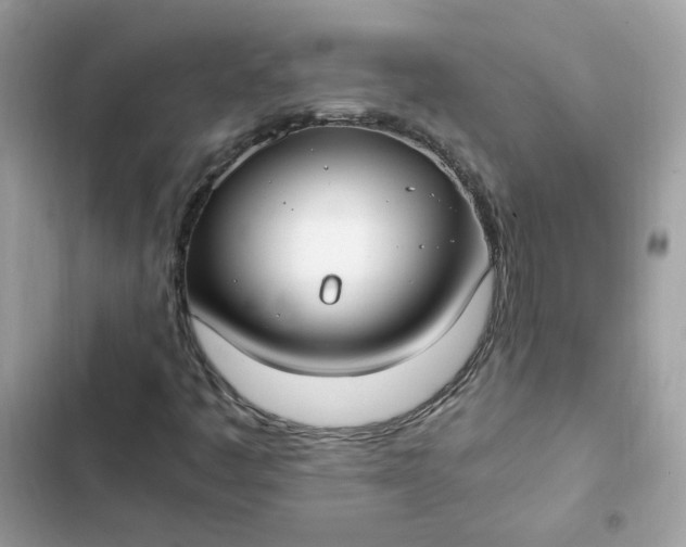 X0000102371445200808151824