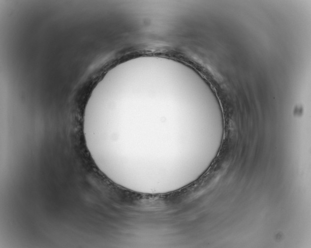 X0000102371447200808151824