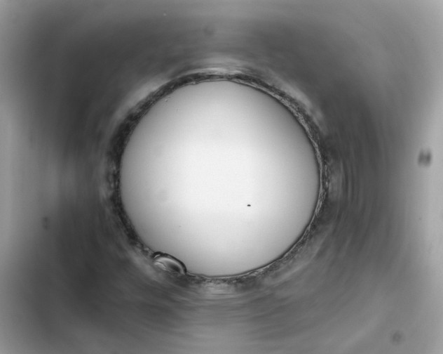 X0000102371448200808151824