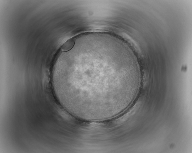 X0000102371449200808151824