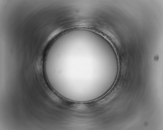 X0000102371450200808151824