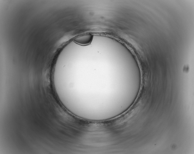 X0000102371451200808151824