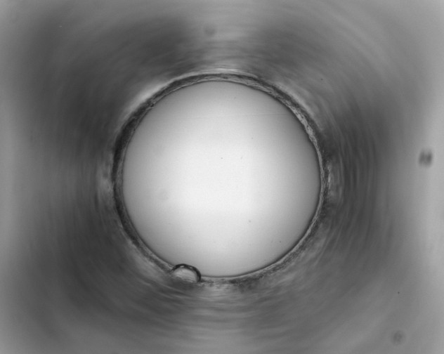 X0000102371452200808151824