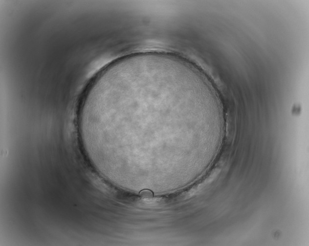 X0000102371453200808151824