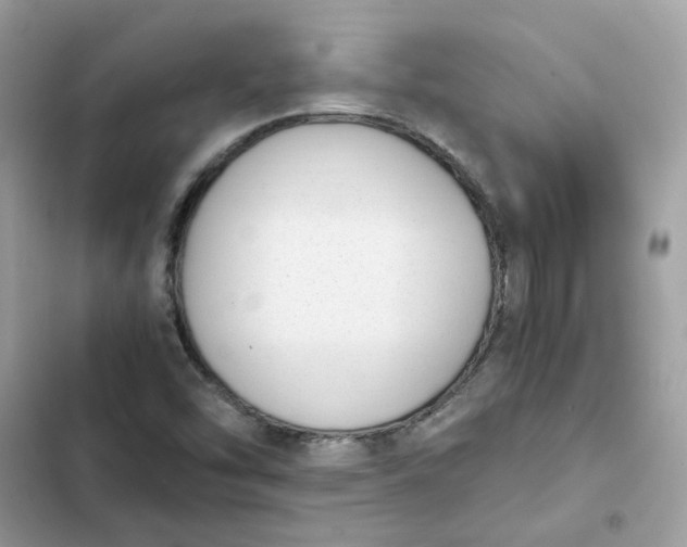 X0000102371454200808151824