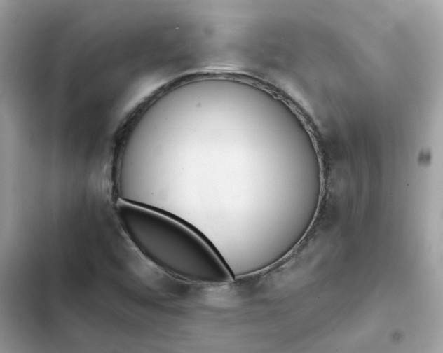 X0000102371456200808151824