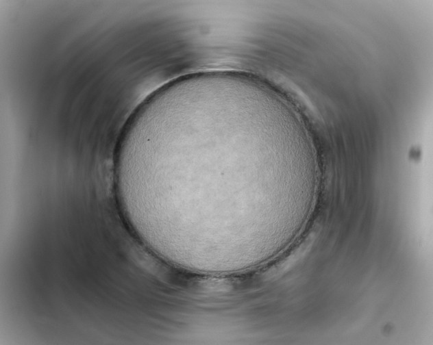 X0000102371457200808151824