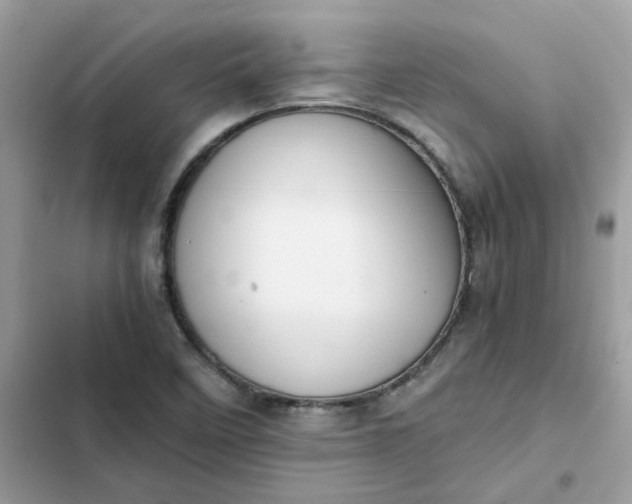 X0000102371458200808151824