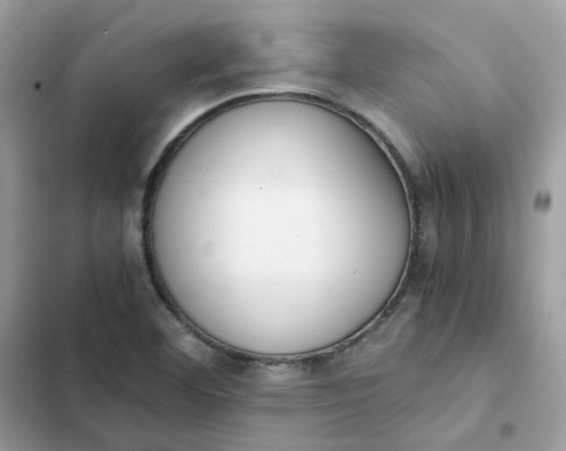 X0000102371460200808151824