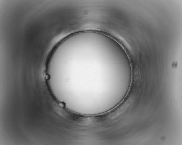 X0000102371461200808151824