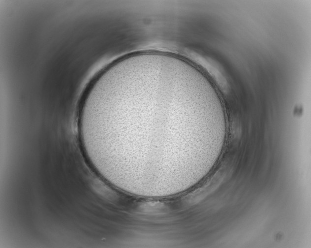 X0000102371462200808151824