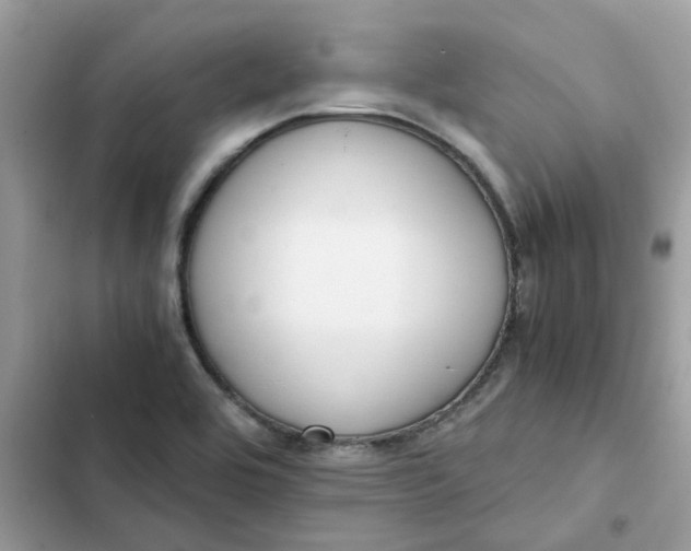 X0000102371464200808151824