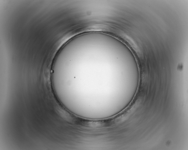 X0000102371465200808151824