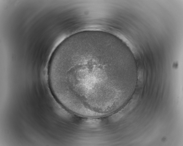 X0000102371466200808151824