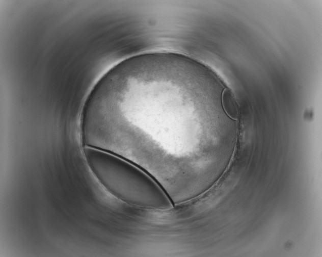 X0000102371468200808151824