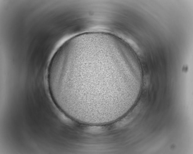 X0000102371470200808151824