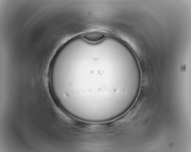 X0000102371471200808151824