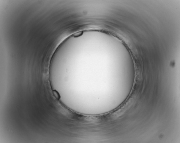 X0000102371473200808151824