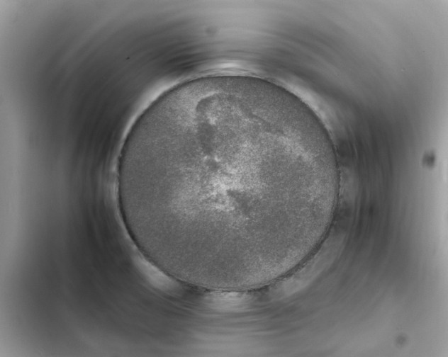 X0000102371474200808151824