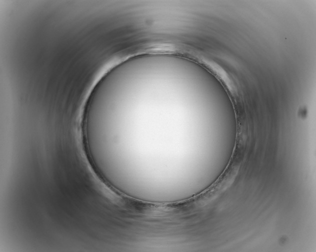 X0000102371475200808151824