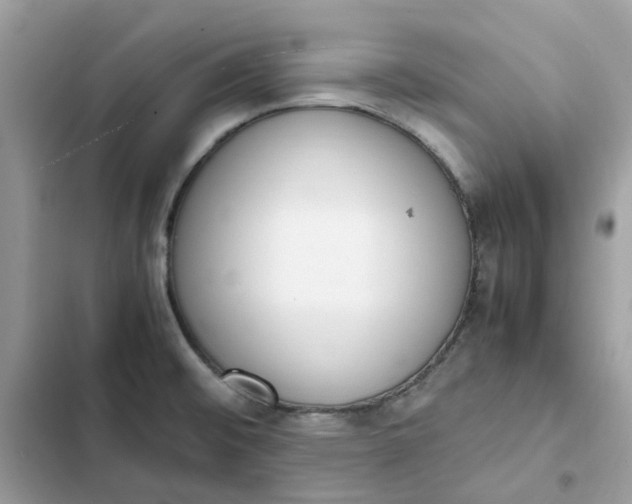 X0000102371476200808151824