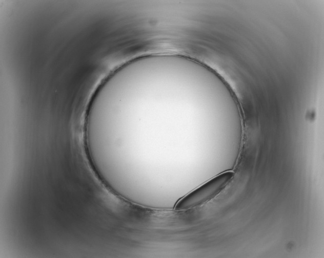 X0000102371477200808151824