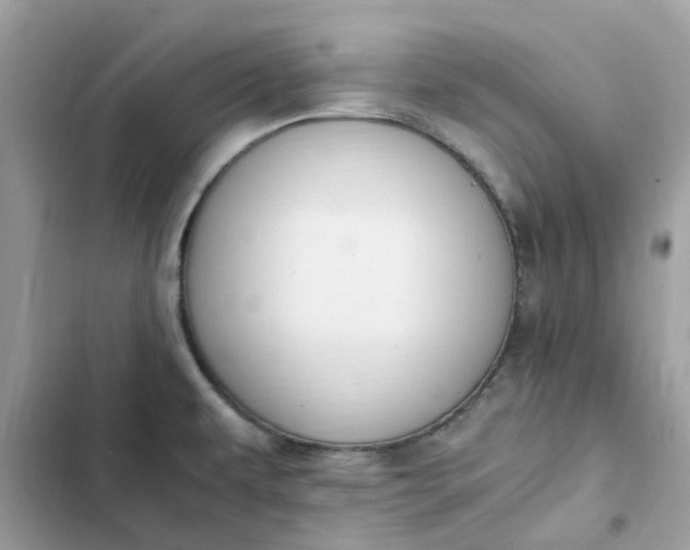 X0000102371479200808151824