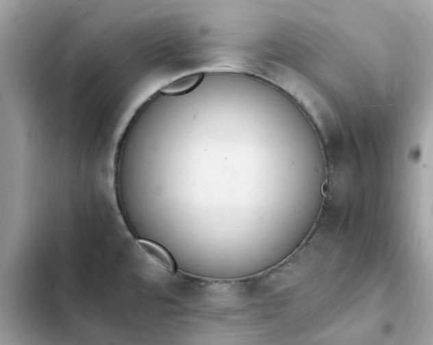 X0000102371480200808151824