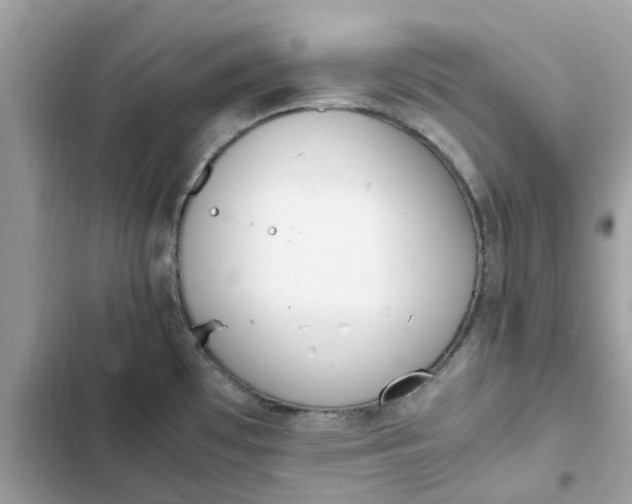 X0000102371481200808151824