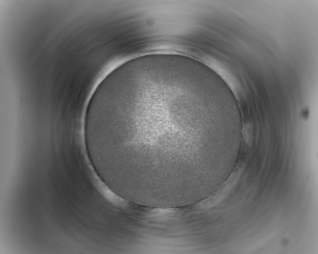 X0000102371482200808151824