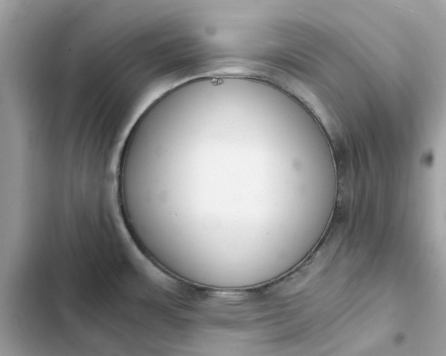 X0000102371483200808151824