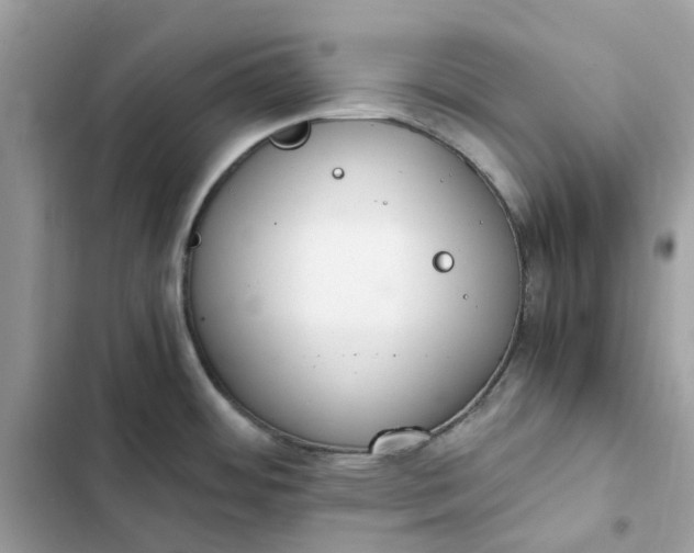 X0000102371484200808151824