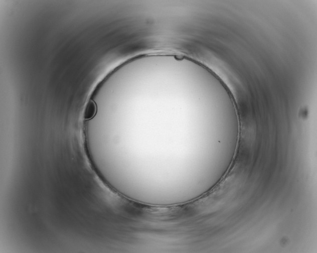 X0000102371485200808151824