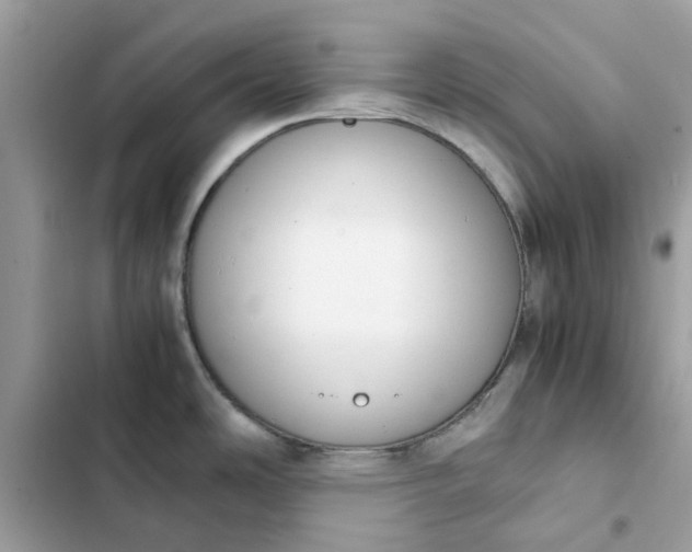 X0000102371486200808151824