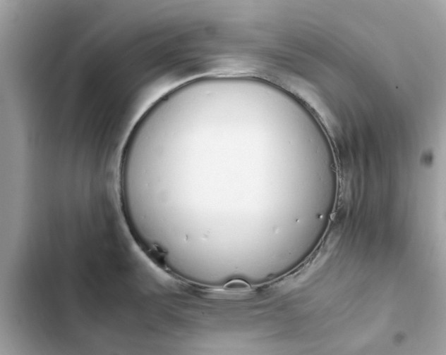 X0000102371487200808151824