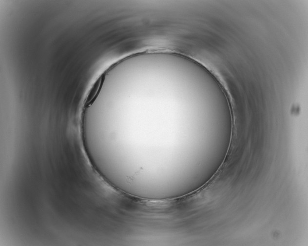 X0000102371488200808151824