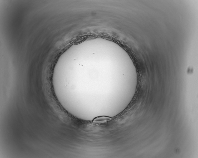 X0000102371489200808151823