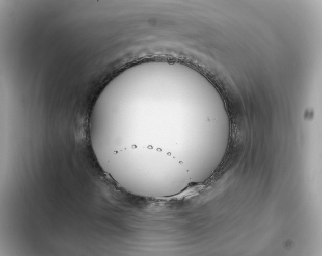 X0000102371490200808151823