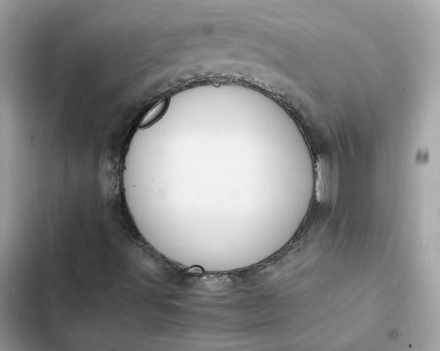 X0000102371491200808151823