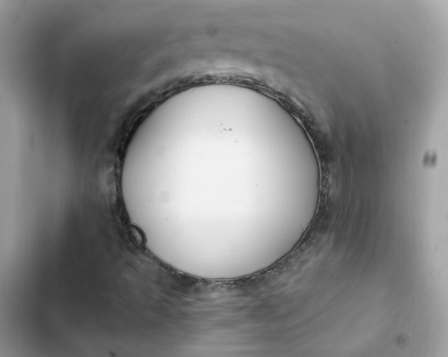 X0000102371493200808151823