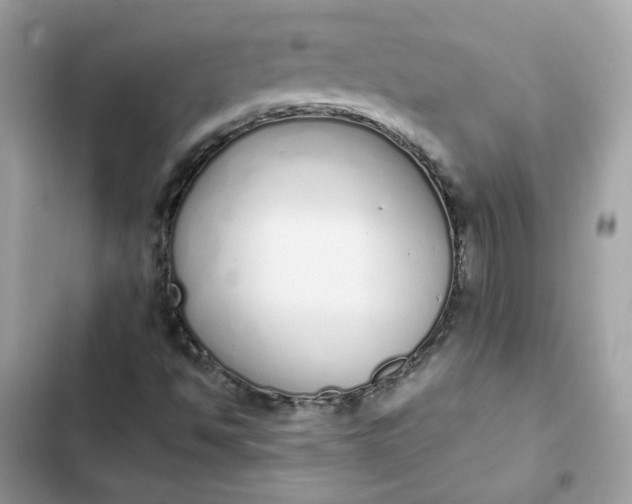 X0000102371494200808151823