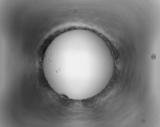 X0000102371495200808151823