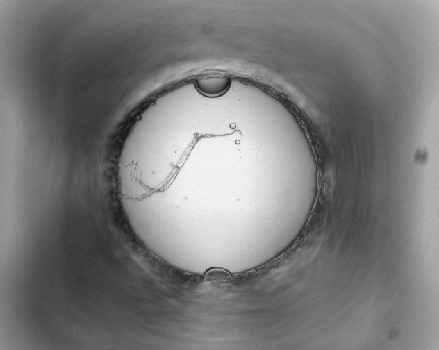 X0000102371496200808151823