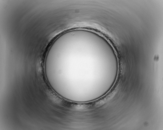 X0000102371497200808151823