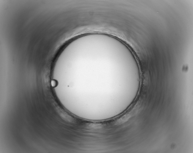 X0000102371499200808151823