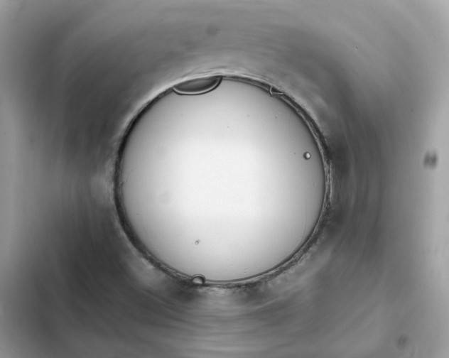 X0000102371500200808151823