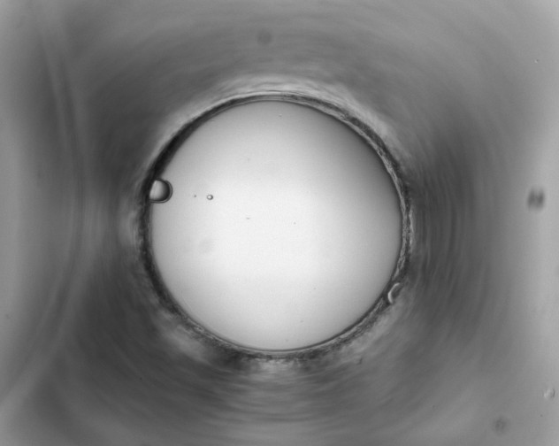 X0000102371501200808151823