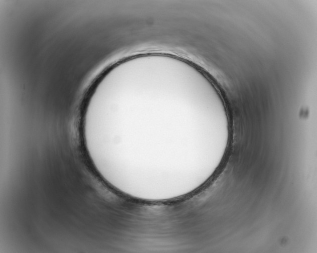 X0000102371502200808151823